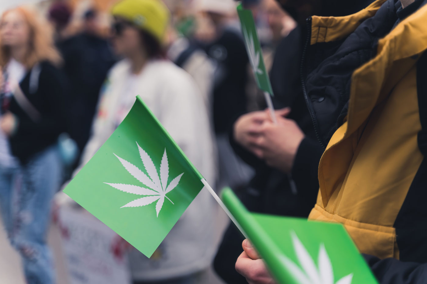 Cannabis-Flaggen auf einer Demo