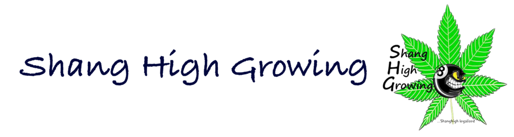 Shang_High_Growing Landscape