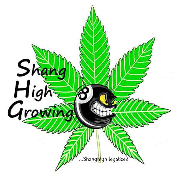 Shang_High_Growing